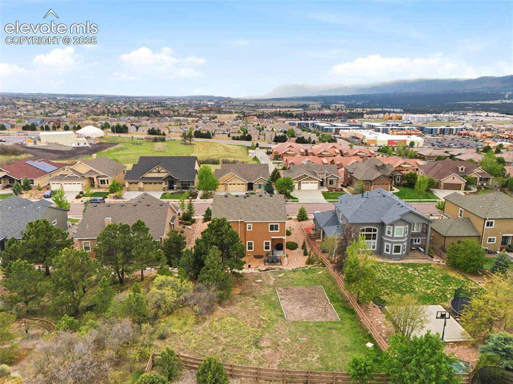 Image 43 of 47: Huge lot! Low maintenance natural landscape with flowers and plants on a dr
