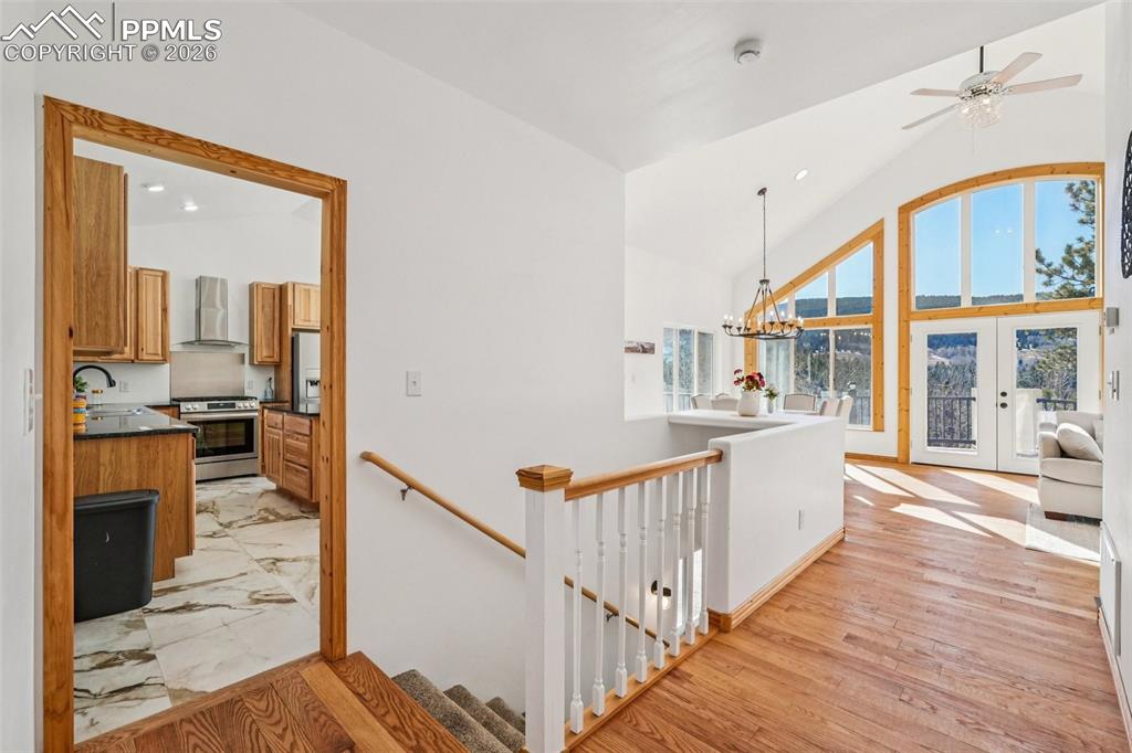 Image 15 of 50: Other