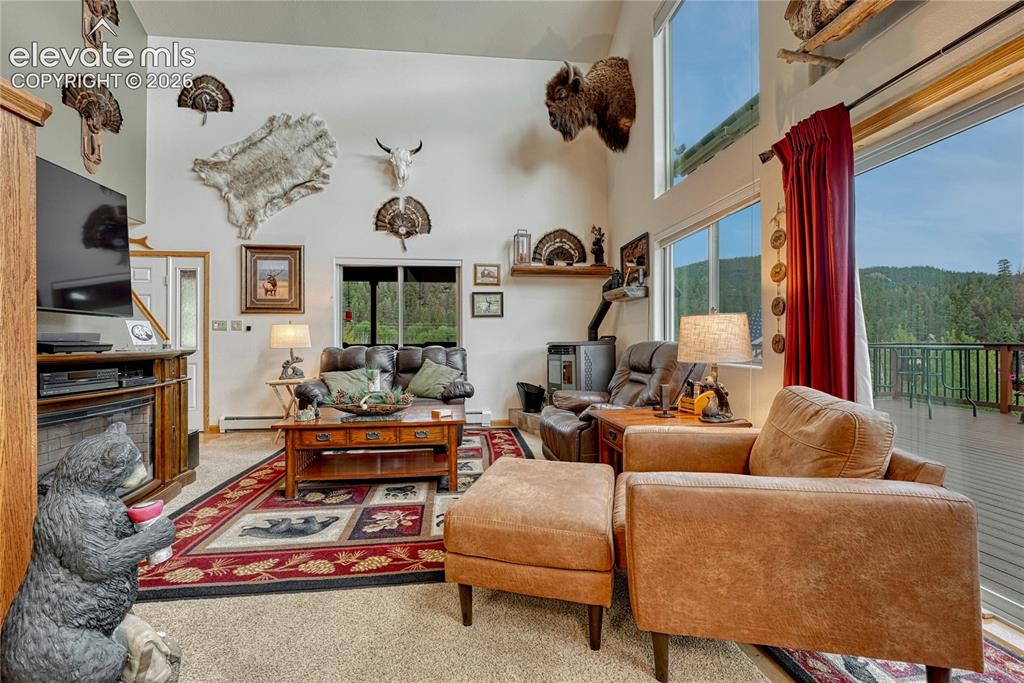 Image 15 of 41: Living Room