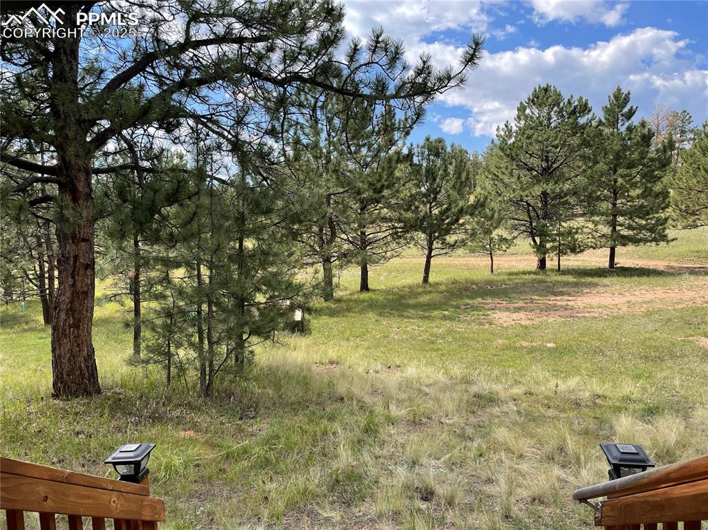 Image 12 of 27: Yard