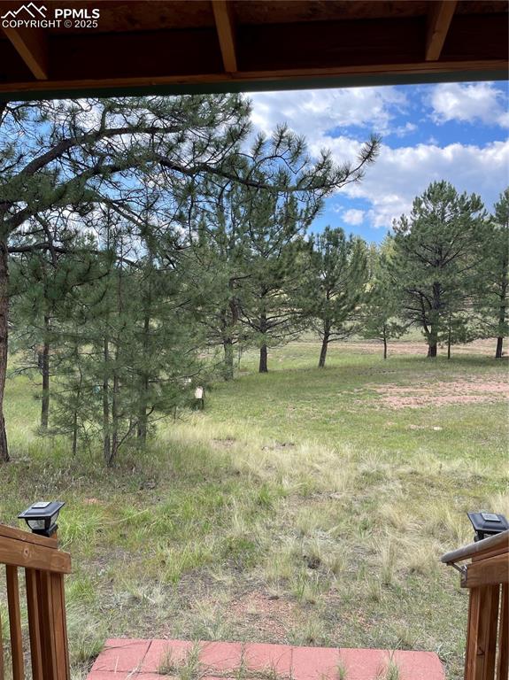 Image 17 of 27: Yard