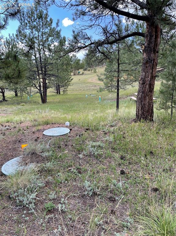 Image 19 of 27: Yard