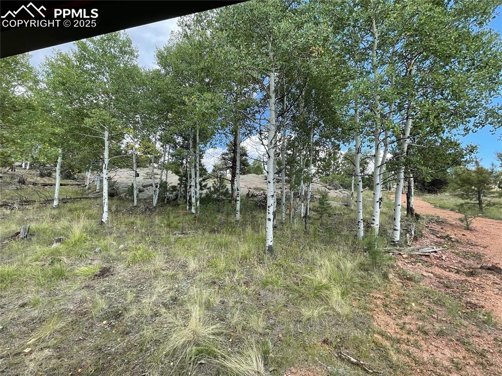 Image 4 of 27: Other