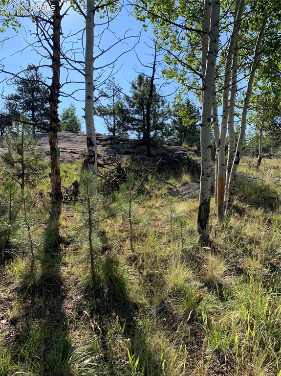 Image 5 of 27: Other