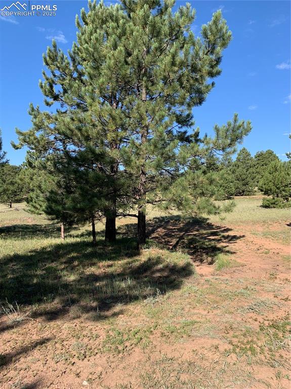 Image 8 of 27: Other