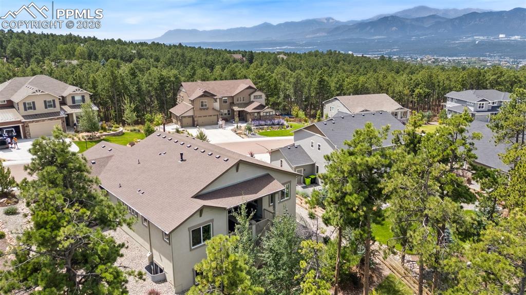 Image 44 of 48: Back of Structure