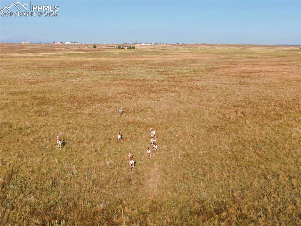 Image 11 of 17: Other