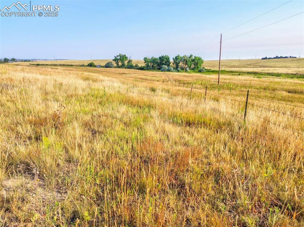 Image 14 of 17: Other