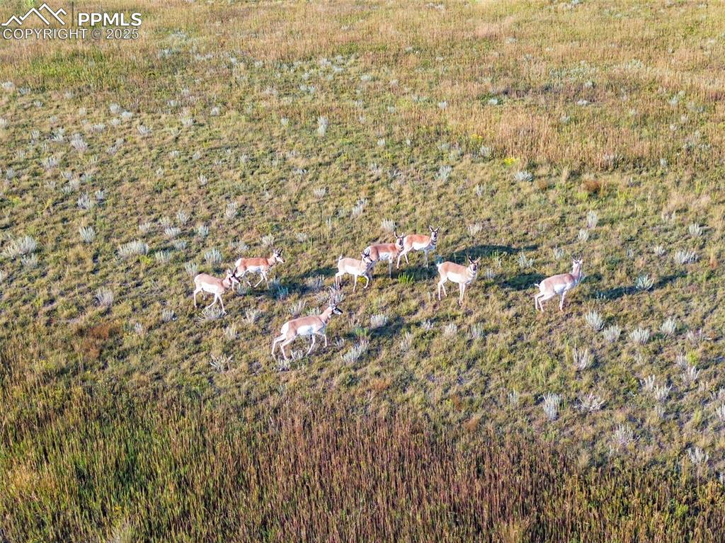 Image 6 of 17: Aerial View