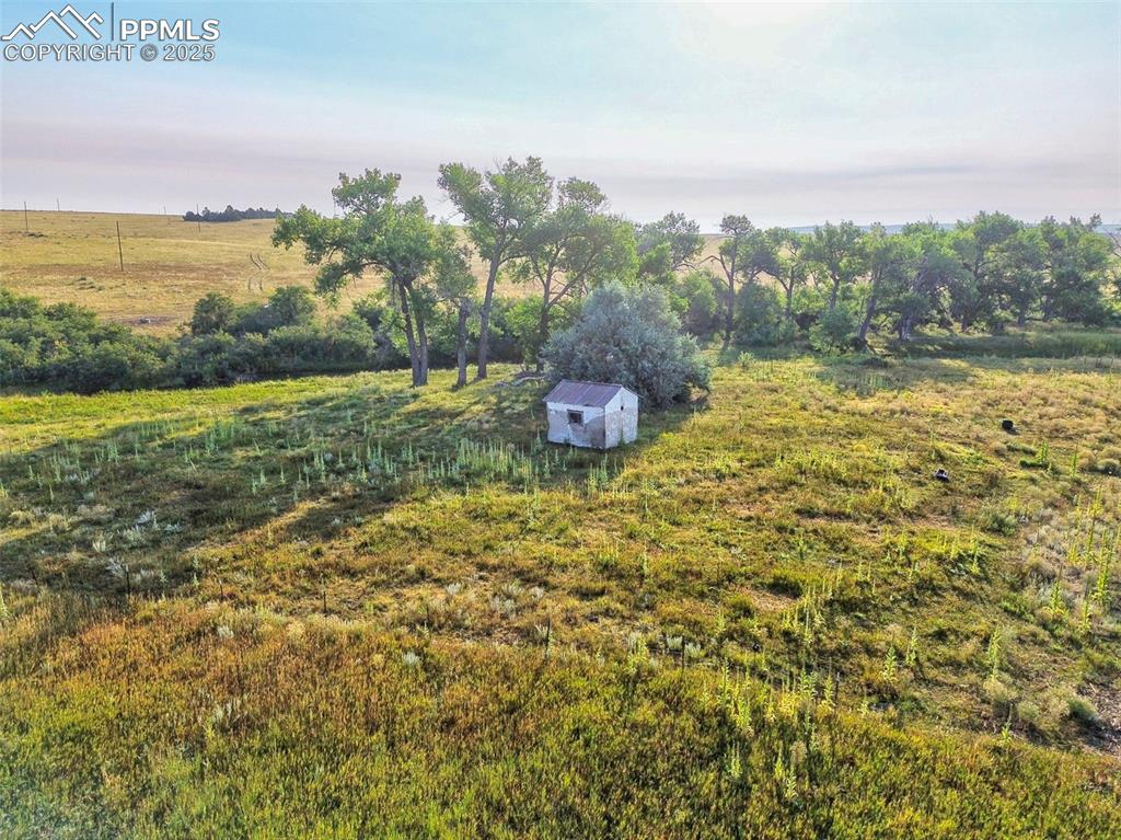 Image 7 of 17: This is east edge of parcel looking east to neighboring property (shed on n
