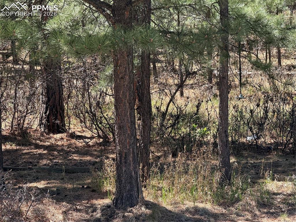 Image 2 of 7: Lot