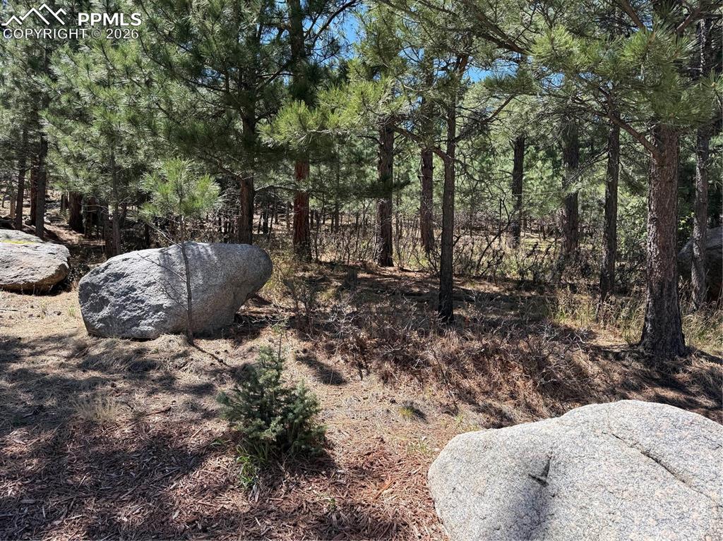 Image 5 of 7: Lot