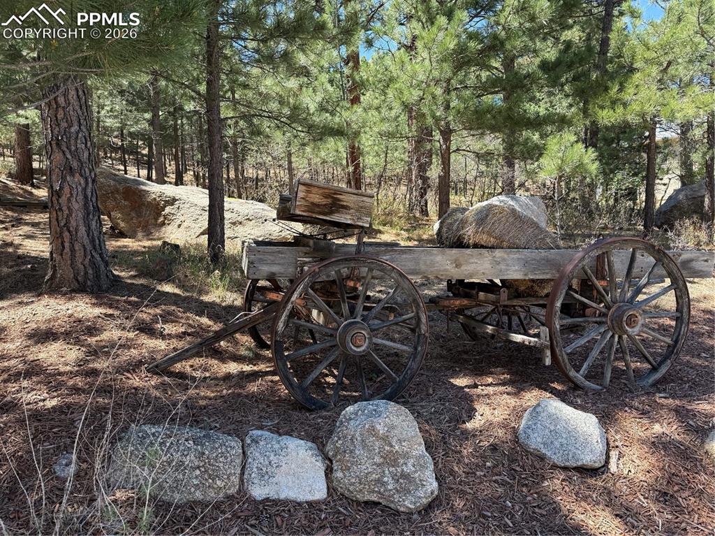 Image 6 of 7: Lot