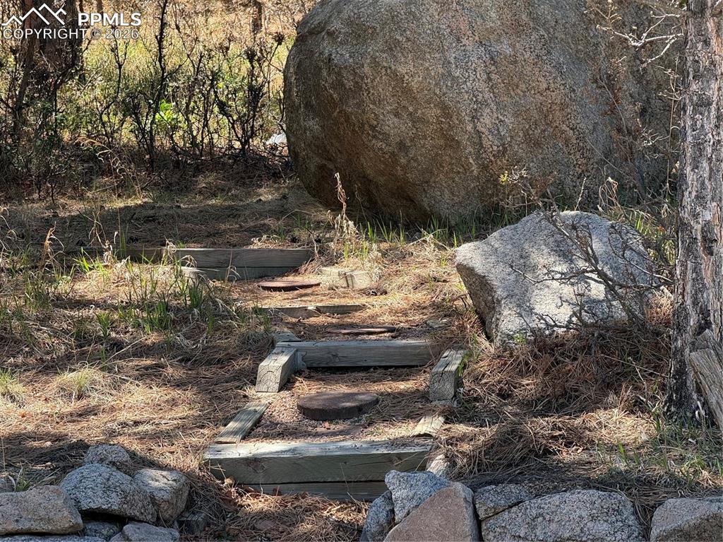 Image 7 of 7: Lot