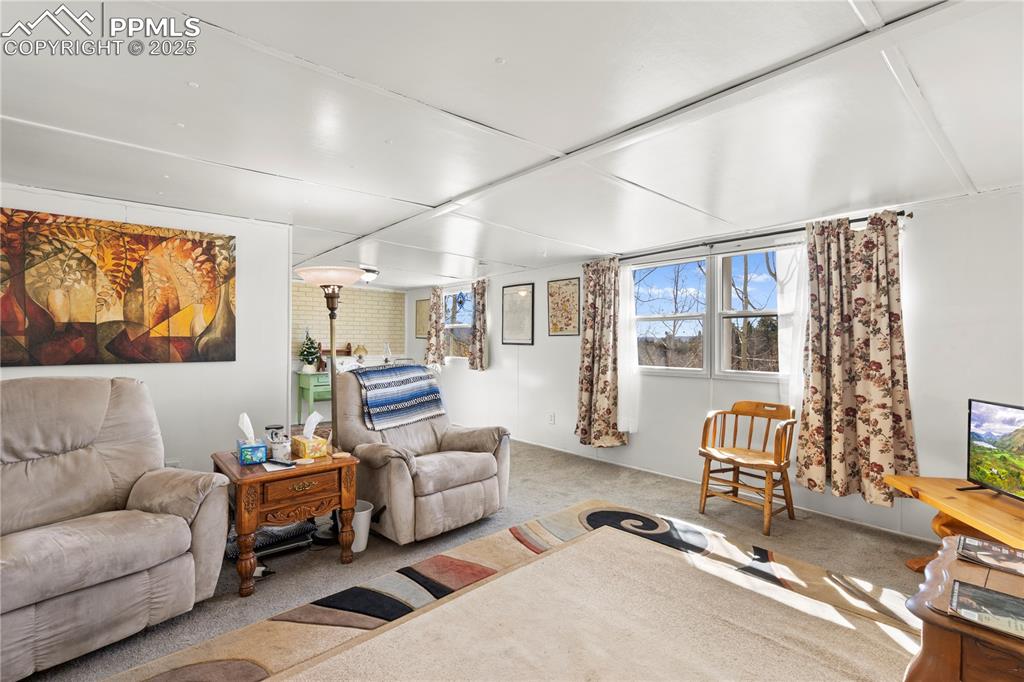 Image 11 of 31: Living area featuring carpet flooring