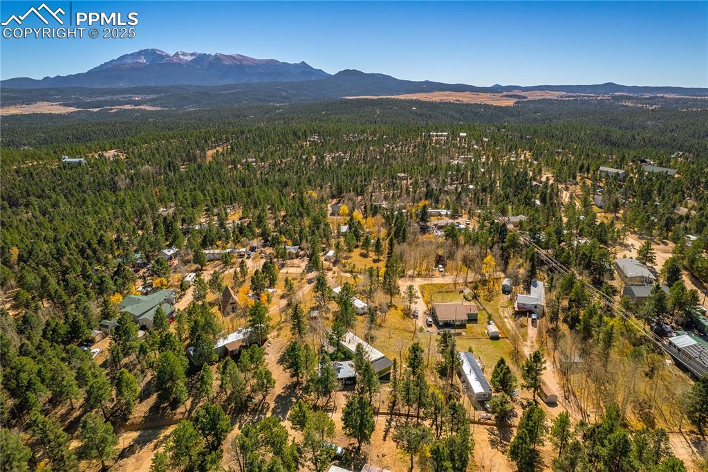 Image 28 of 31: Bird