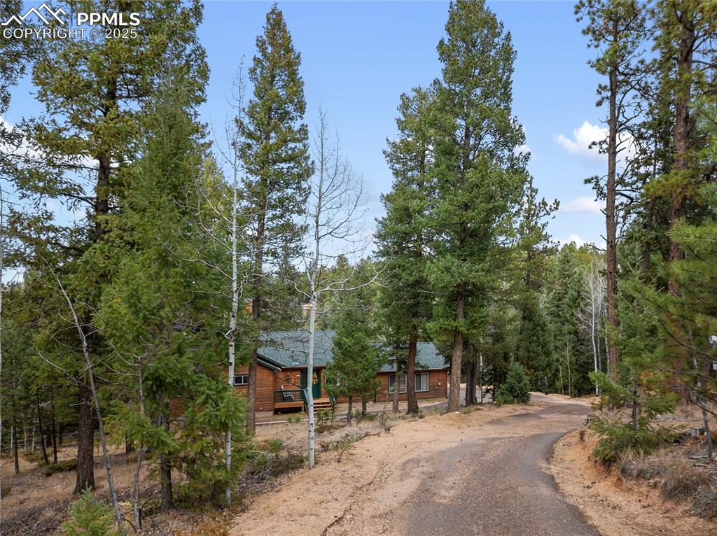 Image 46 of 50: View of asphalt driveway