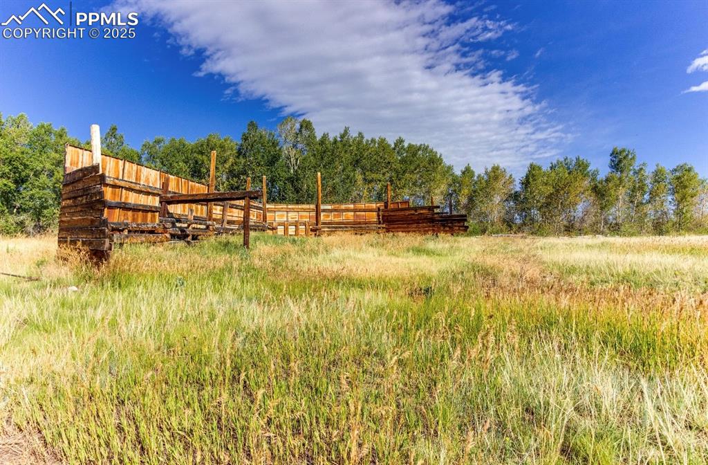 Image 12 of 26: Yard