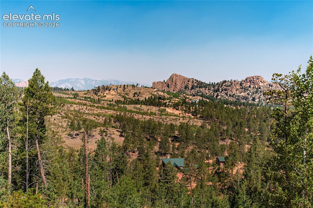 Image 4 of 46: View