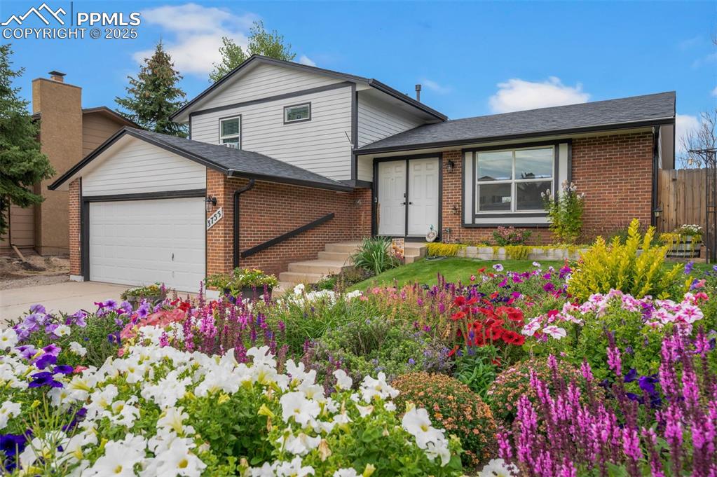 Image 2 of 50: Front of Structure