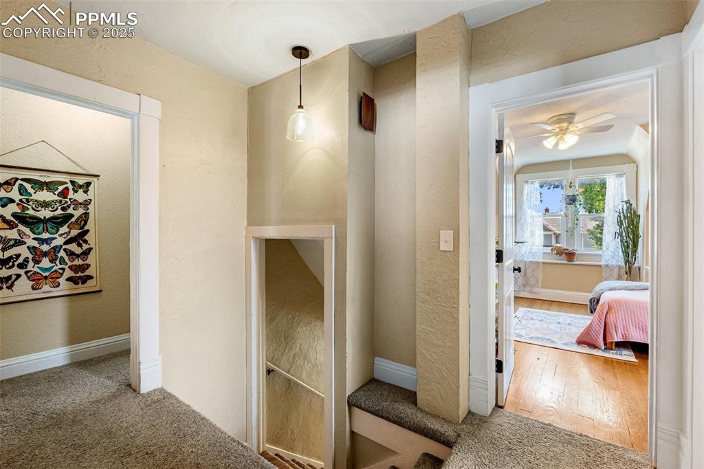 Image 32 of 49: Corridor with a textured wall, carpet floors, and wood finished floors