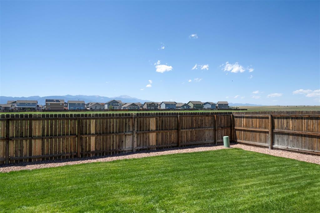 Image 8 of 48: Yard