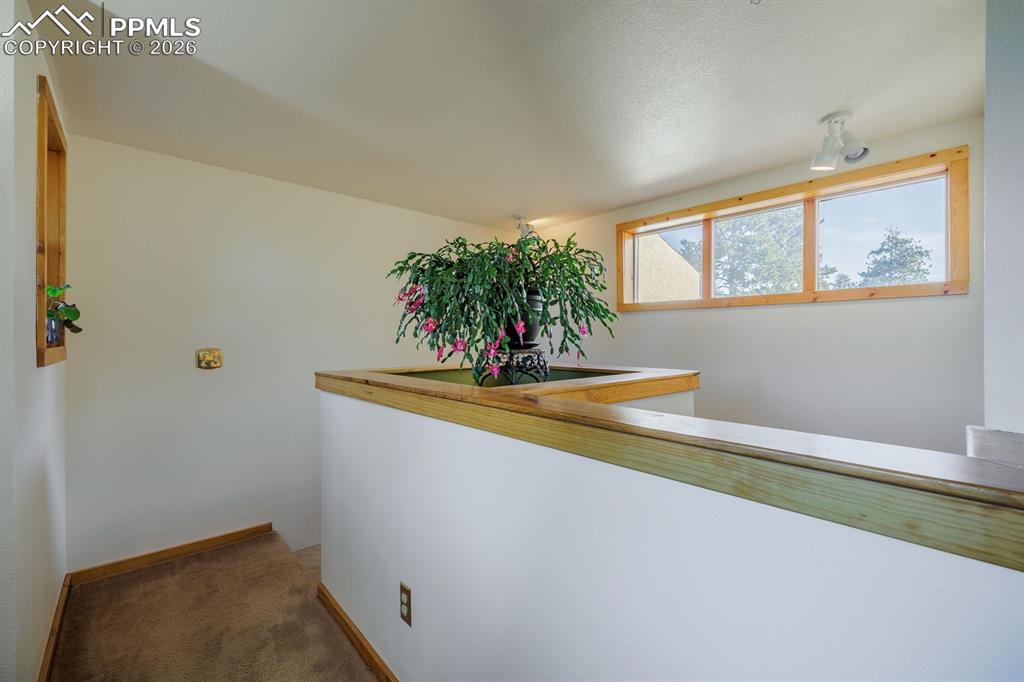 Image 14 of 29: Other