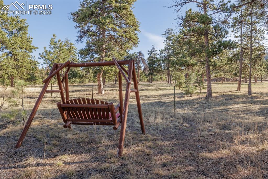 Image 26 of 29: Other