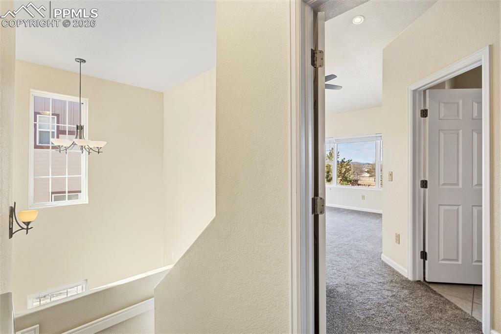 Image 21 of 26: Other