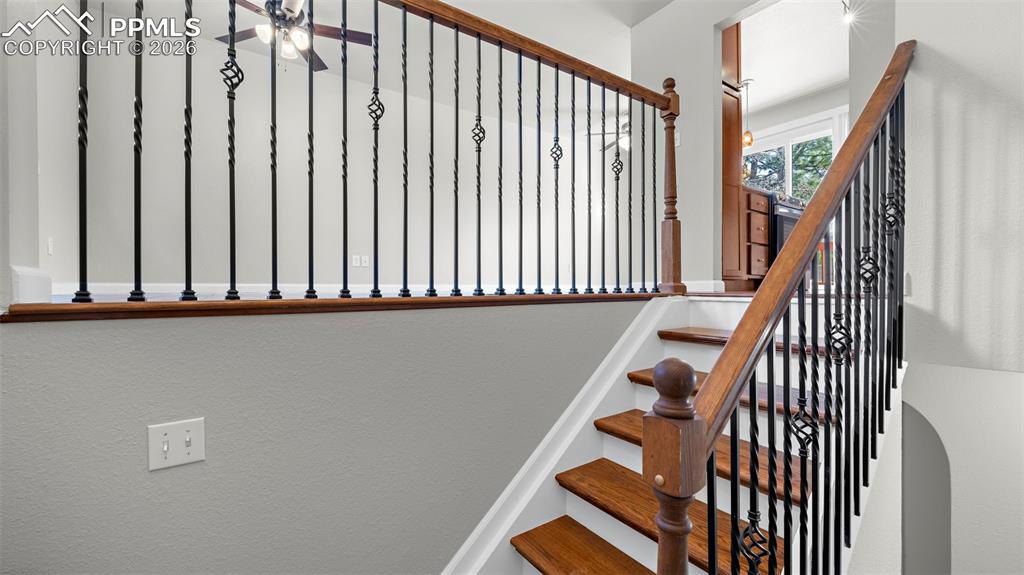 Image 6 of 36: Other