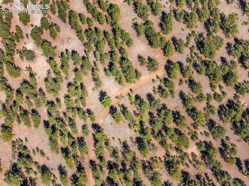 Image 19 of 21: Aerial View