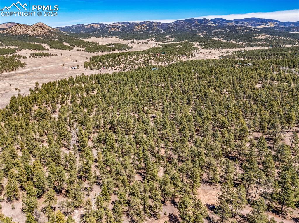 Image 4 of 21: Aerial View