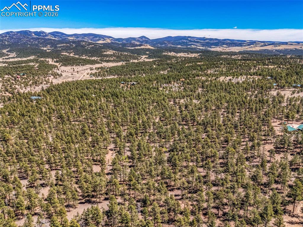 Image 5 of 21: Aerial View