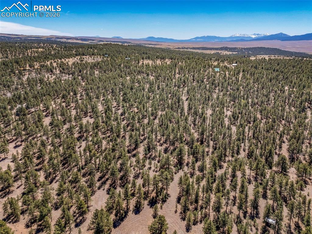 Image 8 of 21: Aerial View
