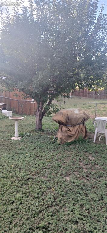 Image 31 of 33: View of yard