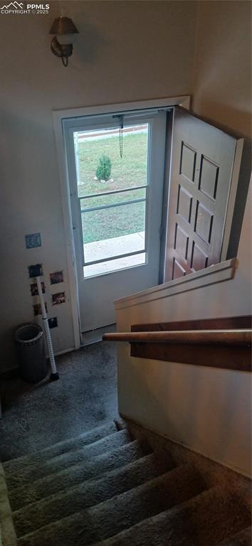 Image 5 of 33: Stairway featuring carpet