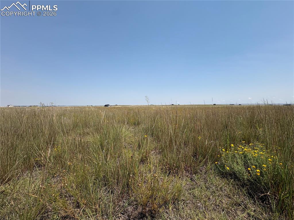 Image 4 of 13: Other