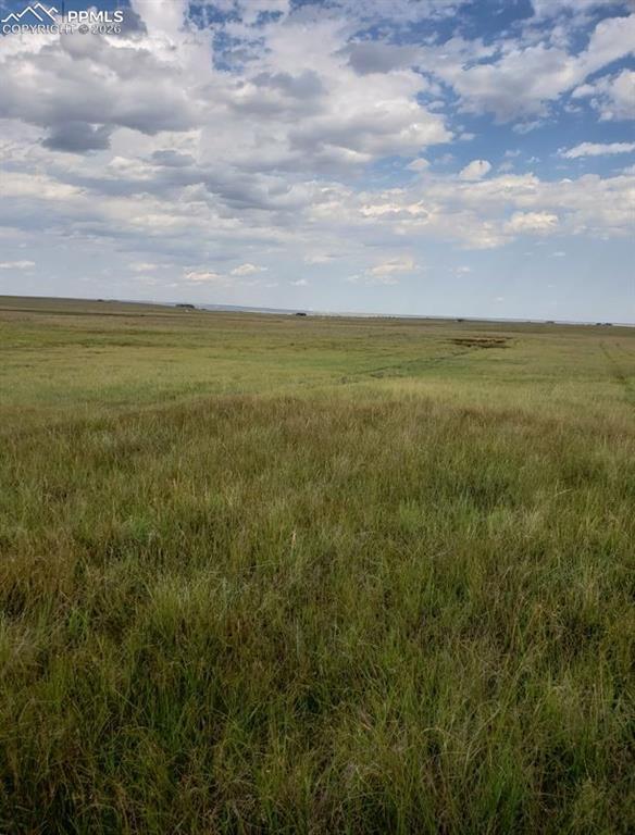 Image 7 of 13: Other