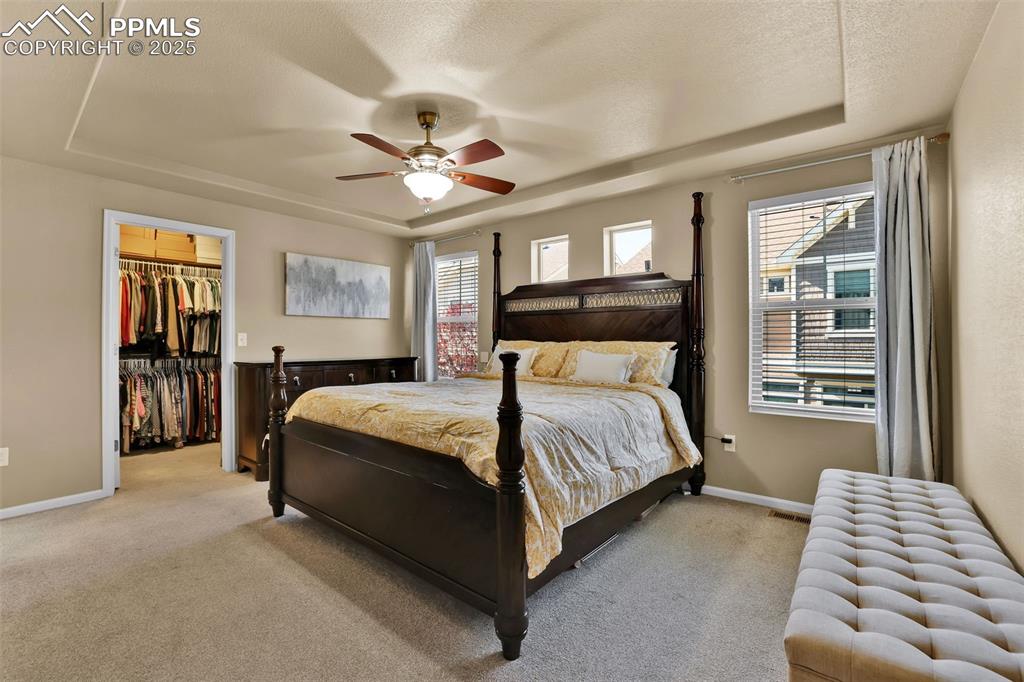 Image 20 of 50: Bedroom featuring multiple windows. Walk-in closet.