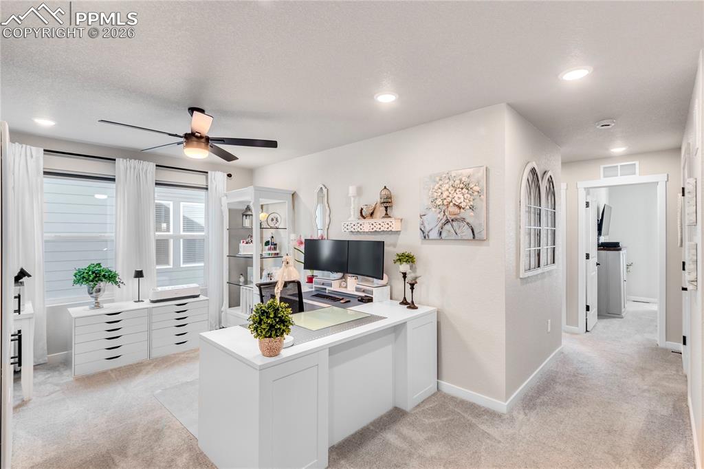 Image 17 of 38: Loft