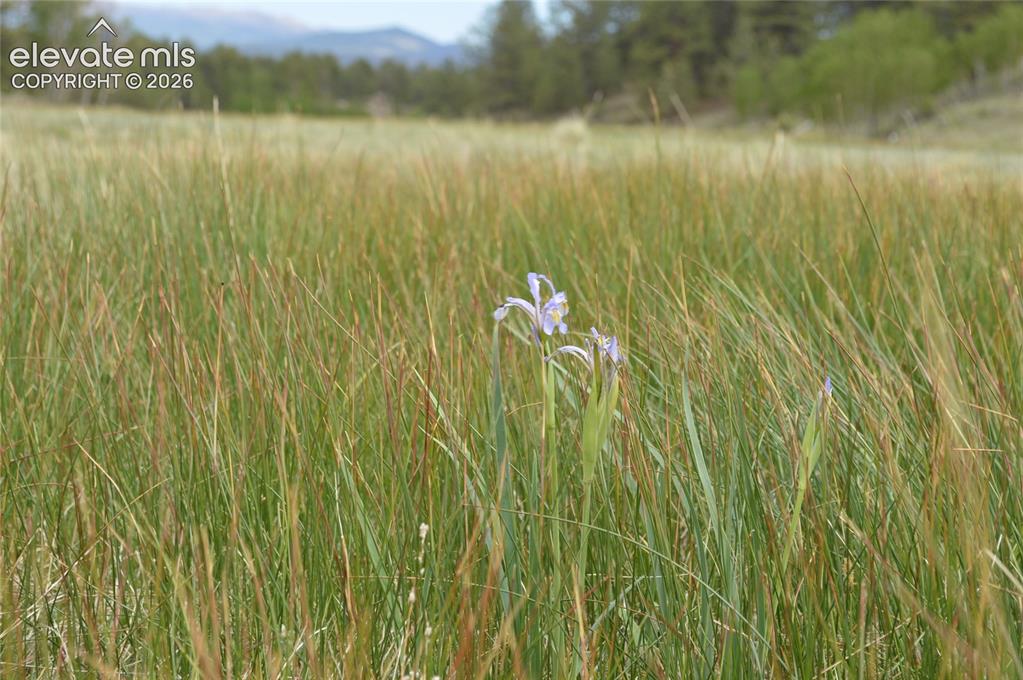 Image 10 of 15: Other