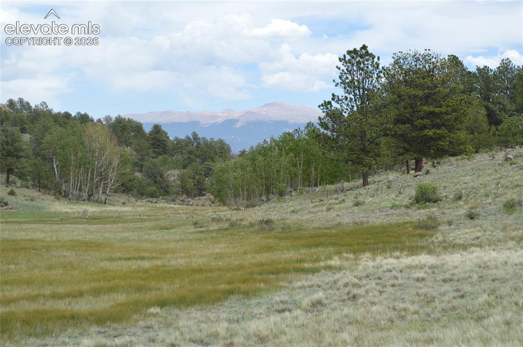 Image 12 of 15: View