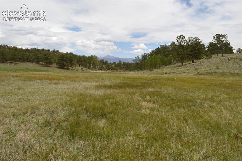 Image 15 of 15: Other