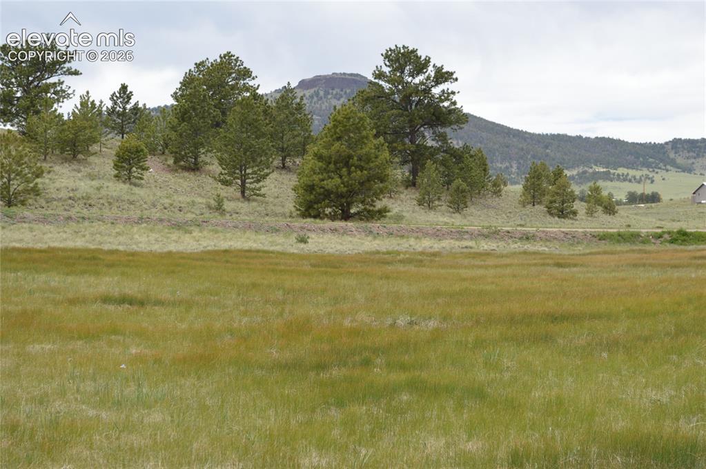 Image 5 of 15: View