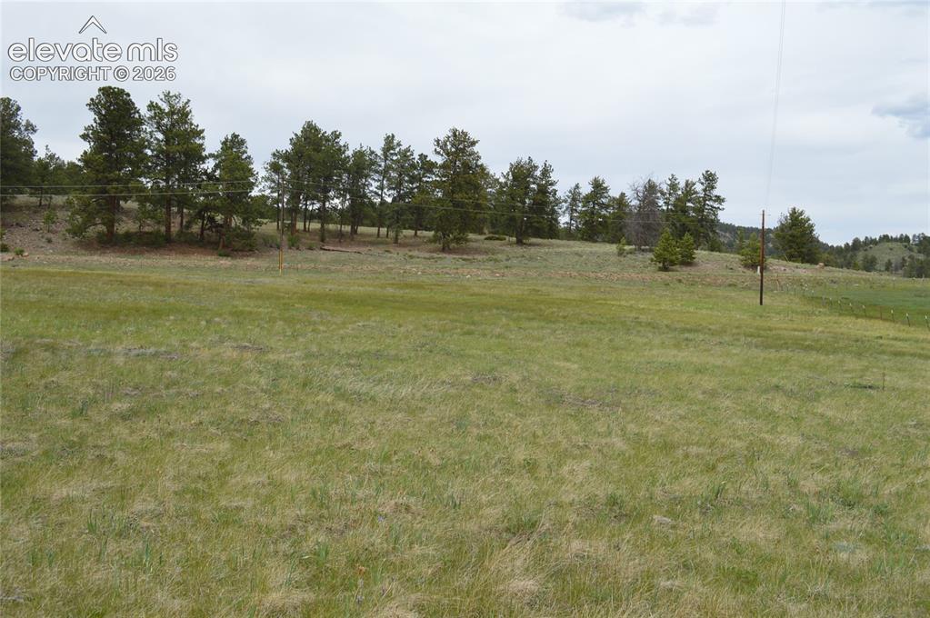 Image 6 of 15: Yard