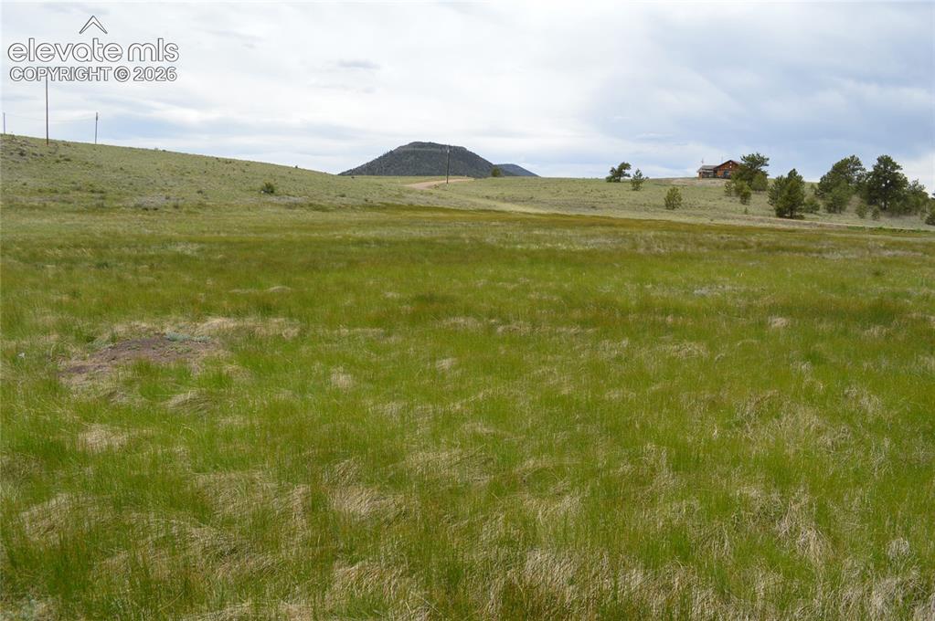 Image 8 of 15: Other