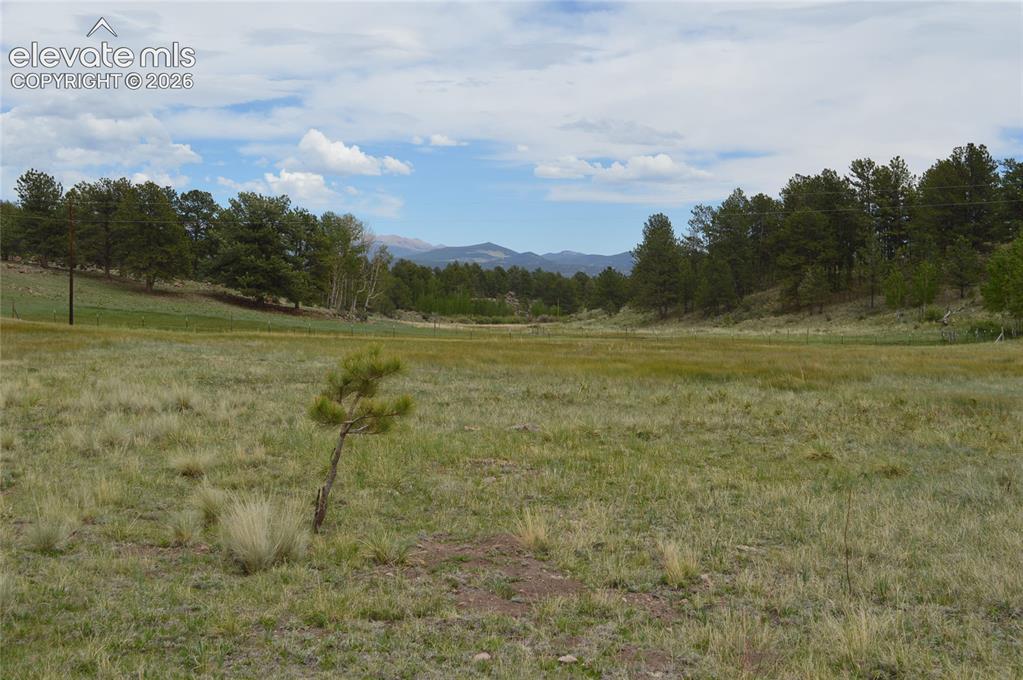Image 9 of 15: Other