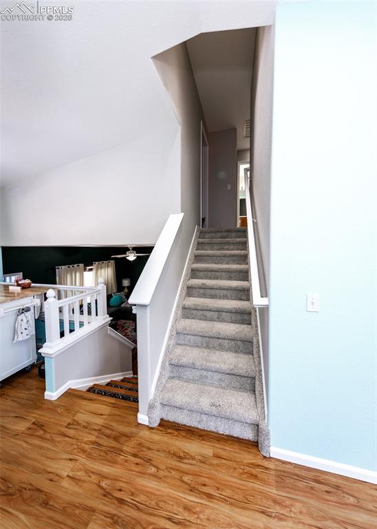 Image 16 of 50: Other