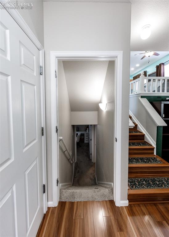 Image 36 of 50: Other