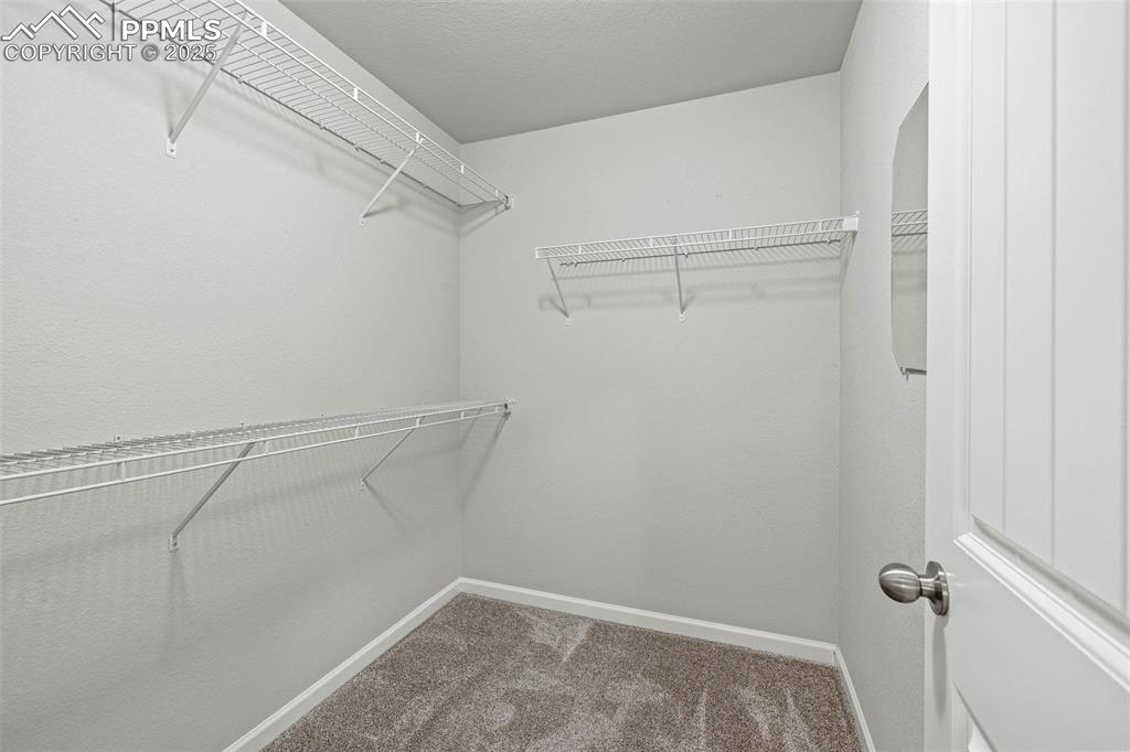 Image 19 of 42: Walk in closet featuring light colored carpet